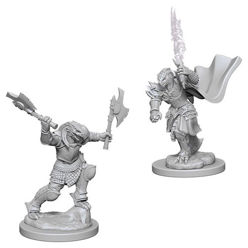 D&D Nolzur's Marvelous Miniatures: Dragonborn Female Fighter (2 ...